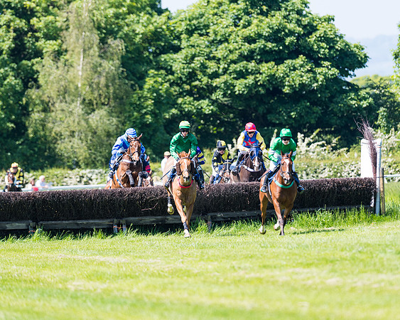 Race 1 - ORIENTAL CLUB OWNER-TRAINER CONDITIONS (89 of 144)
