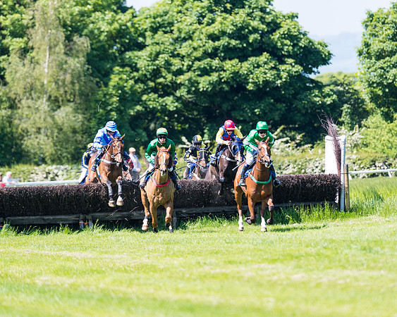 Race 1 - ORIENTAL CLUB OWNER-TRAINER CONDITIONS (91 of 144)