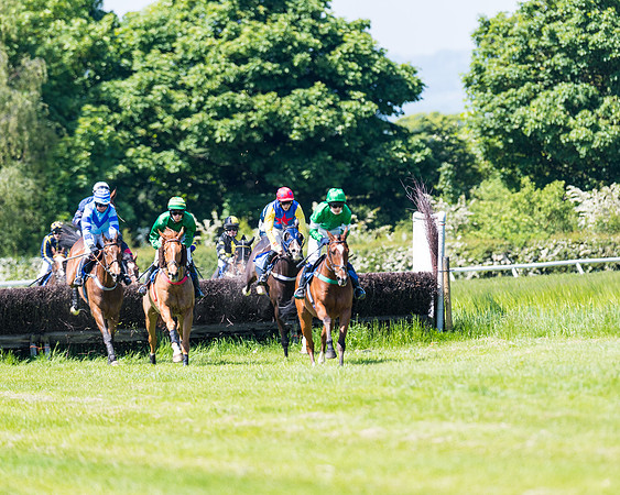Race 1 - ORIENTAL CLUB OWNER-TRAINER CONDITIONS (93 of 144)