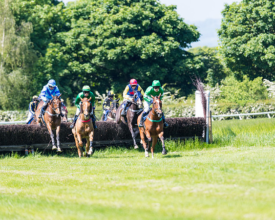 Race 1 - ORIENTAL CLUB OWNER-TRAINER CONDITIONS (92 of 144)