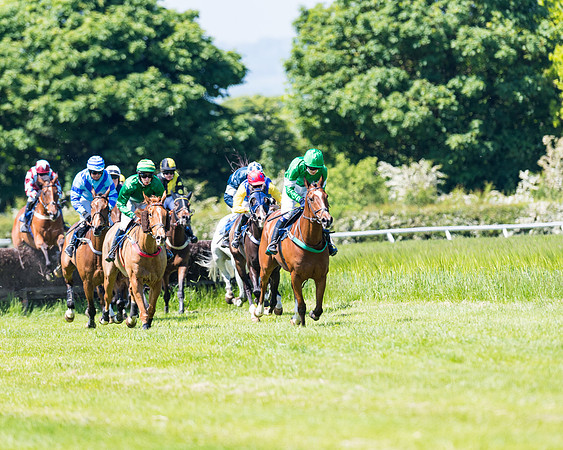 Race 1 - ORIENTAL CLUB OWNER-TRAINER CONDITIONS (94 of 144)