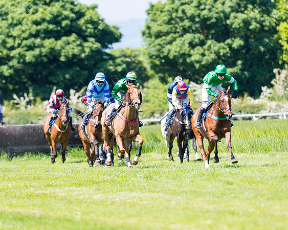 Race 1 - ORIENTAL CLUB OWNER-TRAINER CONDITIONS (95 of 144)