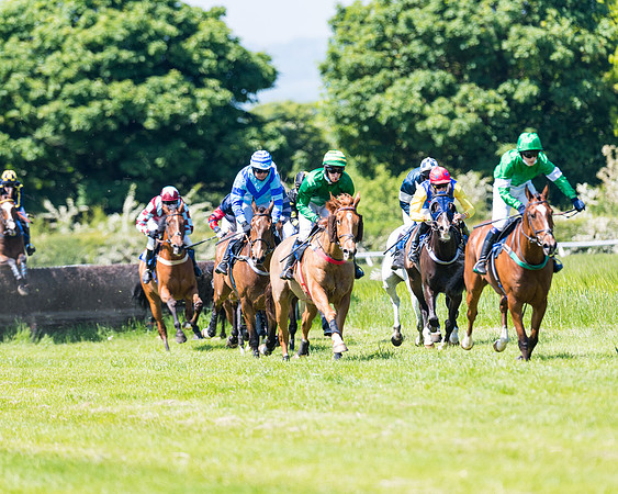Race 1 - ORIENTAL CLUB OWNER-TRAINER CONDITIONS (96 of 144)