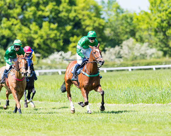 Race 1 - ORIENTAL CLUB OWNER-TRAINER CONDITIONS (97 of 144)