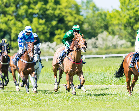 Race 1 - ORIENTAL CLUB OWNER-TRAINER CONDITIONS (98 of 144)