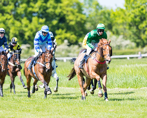 Race 1 - ORIENTAL CLUB OWNER-TRAINER CONDITIONS (99 of 144)