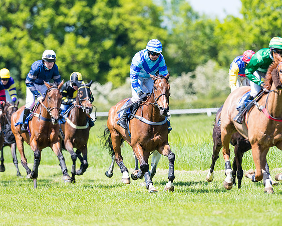 Race 1 - ORIENTAL CLUB OWNER-TRAINER CONDITIONS (100 of 144)