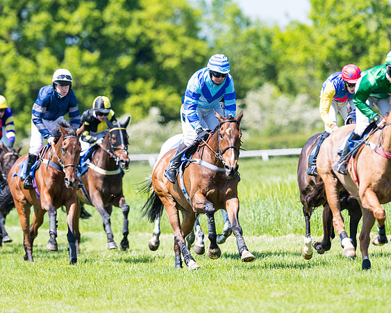 Race 1 - ORIENTAL CLUB OWNER-TRAINER CONDITIONS (101 of 144)