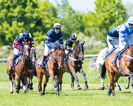 Race 1 - ORIENTAL CLUB OWNER-TRAINER CONDITIONS (102 of 144)