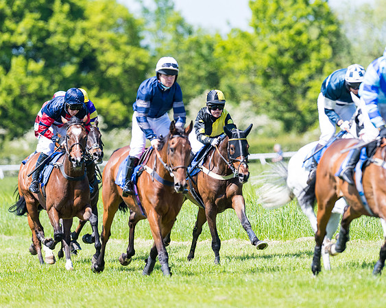 Race 1 - ORIENTAL CLUB OWNER-TRAINER CONDITIONS (103 of 144)