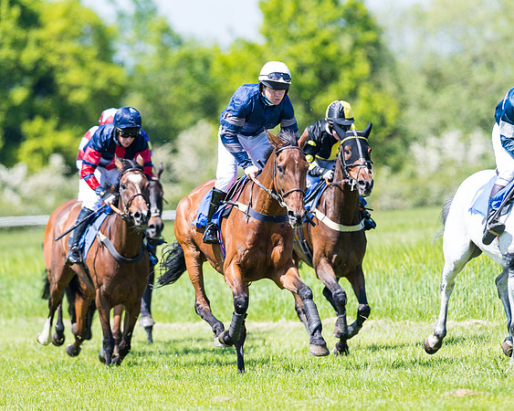 Race 1 - ORIENTAL CLUB OWNER-TRAINER CONDITIONS (104 of 144)