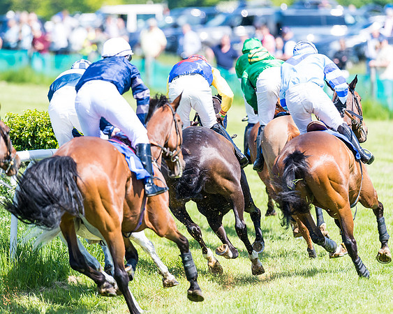 Race 1 - ORIENTAL CLUB OWNER-TRAINER CONDITIONS (105 of 144)