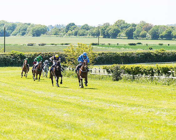 Race 1 - ORIENTAL CLUB OWNER-TRAINER CONDITIONS (107 of 144)