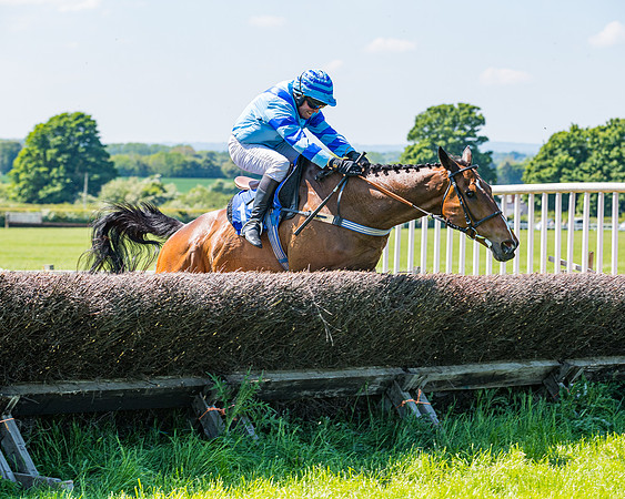 Race 1 - ORIENTAL CLUB OWNER-TRAINER CONDITIONS (108 of 144)