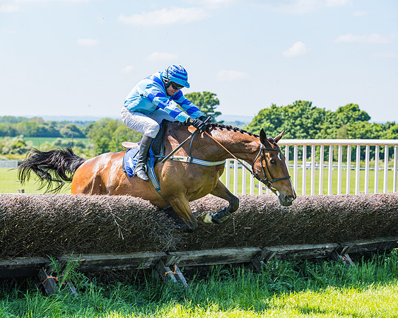 Race 1 - ORIENTAL CLUB OWNER-TRAINER CONDITIONS (109 of 144)