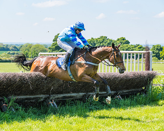 Race 1 - ORIENTAL CLUB OWNER-TRAINER CONDITIONS (110 of 144)