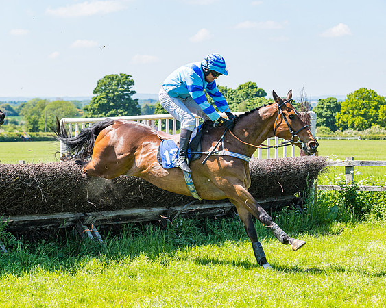 Race 1 - ORIENTAL CLUB OWNER-TRAINER CONDITIONS (111 of 144)