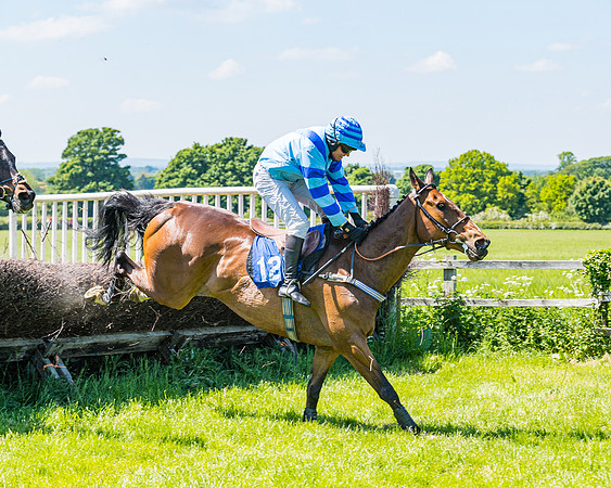 Race 1 - ORIENTAL CLUB OWNER-TRAINER CONDITIONS (112 of 144)