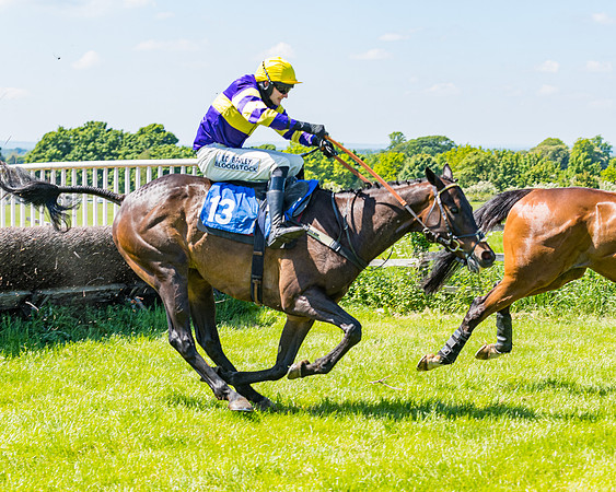 Race 1 - ORIENTAL CLUB OWNER-TRAINER CONDITIONS (113 of 144)