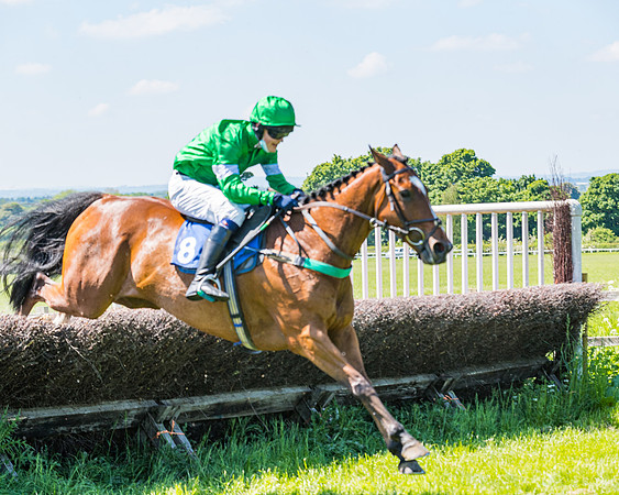 Race 1 - ORIENTAL CLUB OWNER-TRAINER CONDITIONS (115 of 144)