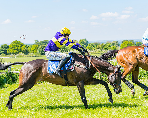 Race 1 - ORIENTAL CLUB OWNER-TRAINER CONDITIONS (114 of 144)