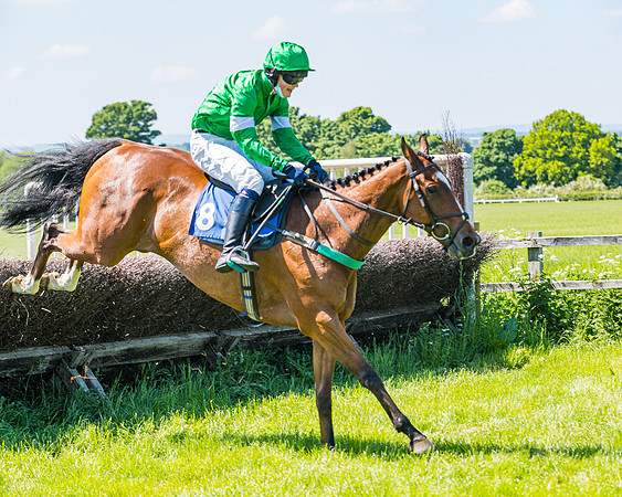Race 1 - ORIENTAL CLUB OWNER-TRAINER CONDITIONS (116 of 144)