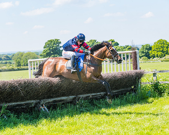 Race 1 - ORIENTAL CLUB OWNER-TRAINER CONDITIONS (117 of 144)