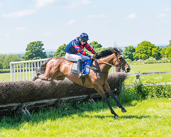 Race 1 - ORIENTAL CLUB OWNER-TRAINER CONDITIONS (118 of 144)
