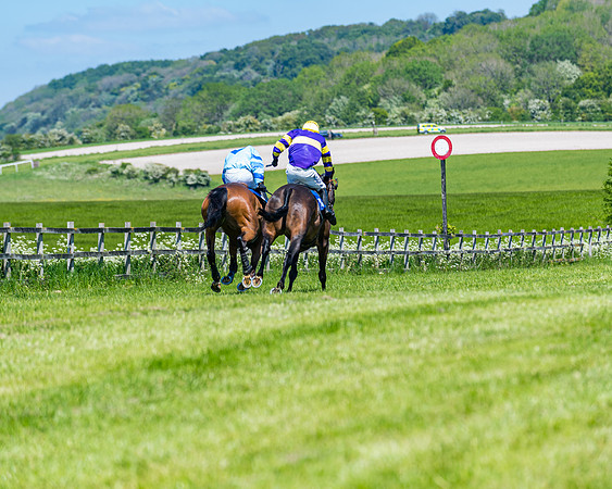 Race 1 - ORIENTAL CLUB OWNER-TRAINER CONDITIONS (120 of 144)