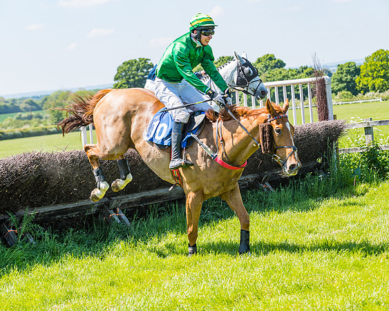 Race 1 - ORIENTAL CLUB OWNER-TRAINER CONDITIONS (119 of 144)