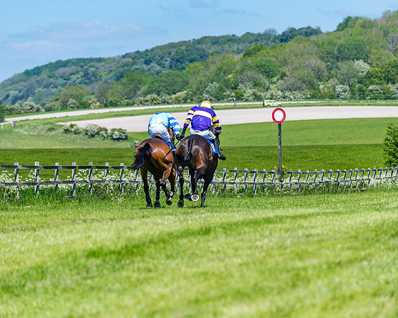 Race 1 - ORIENTAL CLUB OWNER-TRAINER CONDITIONS (121 of 144)