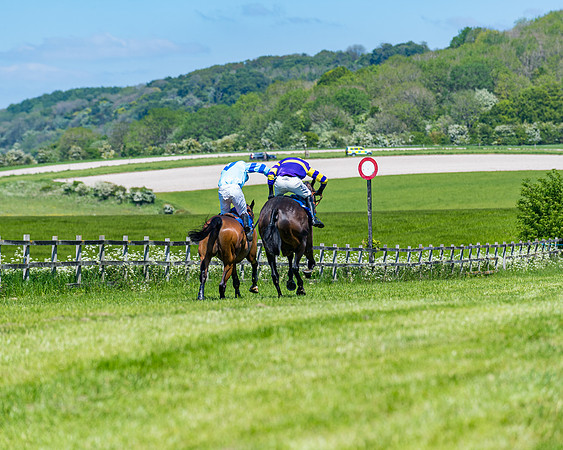 Race 1 - ORIENTAL CLUB OWNER-TRAINER CONDITIONS (122 of 144)