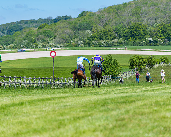 Race 1 - ORIENTAL CLUB OWNER-TRAINER CONDITIONS (124 of 144)
