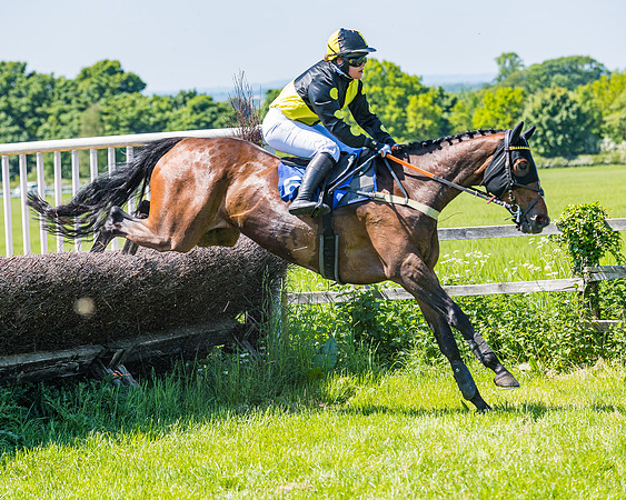 Race 1 - ORIENTAL CLUB OWNER-TRAINER CONDITIONS (126 of 144)