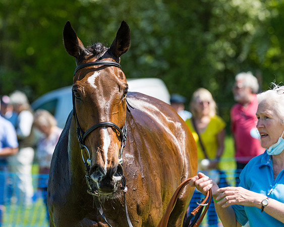 Race 1 - ORIENTAL CLUB OWNER-TRAINER CONDITIONS (138 of 144)
