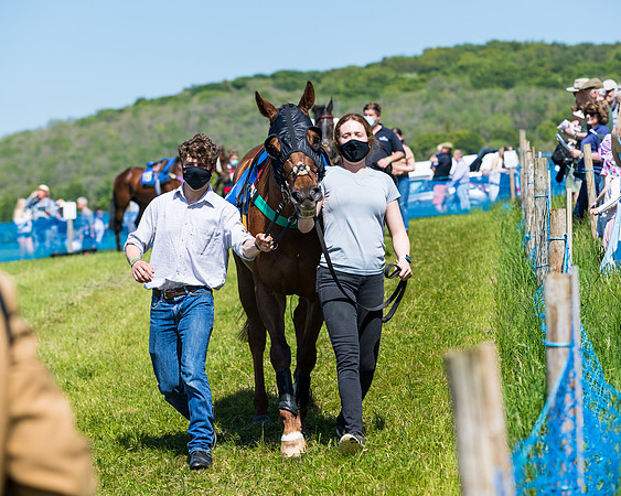 Race 2 - PPORA CLUB MEMBERS CONDITIONS (LEVEL 2) NOVICE RIDERS CONDITIONS (4 of 143)