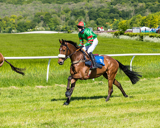 Race 3 - INTERMEDIATE (38 of 111)