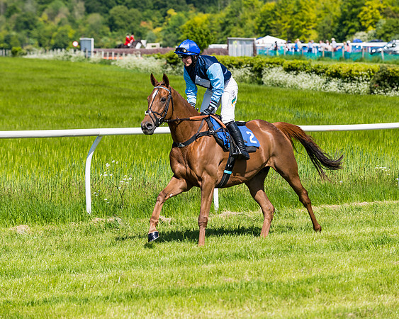 Race 3 - INTERMEDIATE (40 of 111)