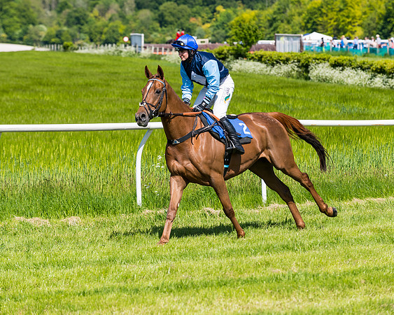 Race 3 - INTERMEDIATE (41 of 111)