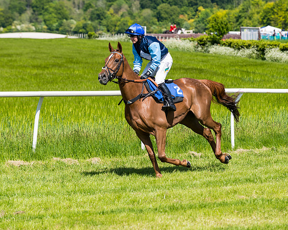 Race 3 - INTERMEDIATE (42 of 111)