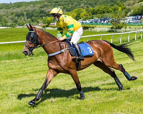 Race 3 - INTERMEDIATE (46 of 111)
