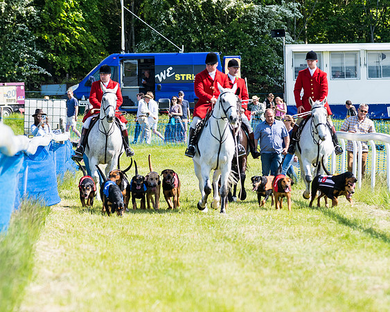 Hound Race  (2 of 33)