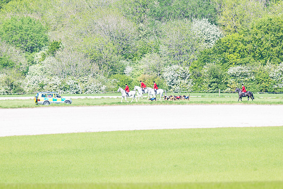 Hound Race  (9 of 33)