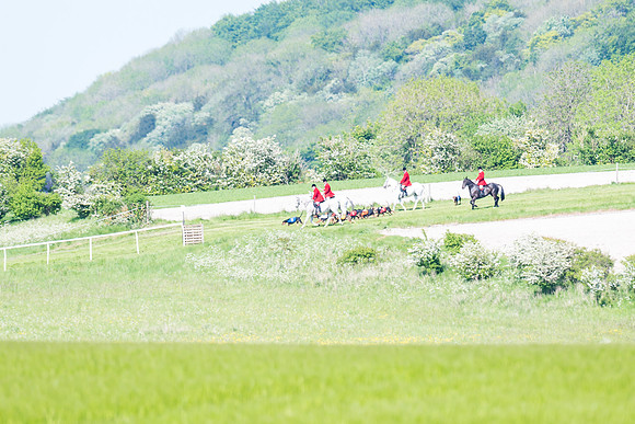 Hound Race  (10 of 33)