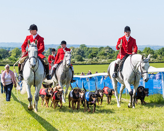 Hound Race  (23 of 33)