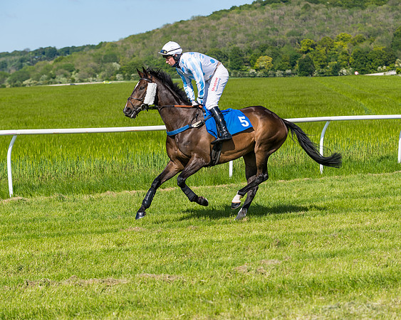 Race 4 - The Mixed Open (57 of 136)