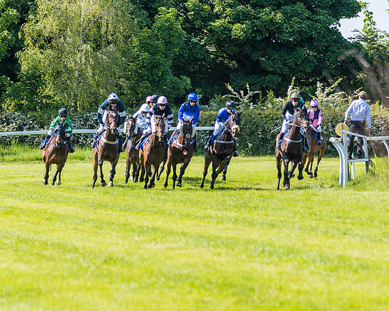 Race 4 - The Mixed Open (60 of 136)
