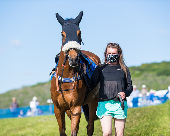 Race 5 - The Restricted  (1 of 111)