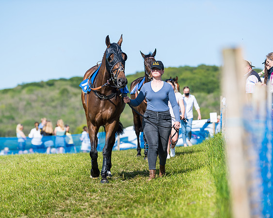 Race 5 - The Restricted  (3 of 111)