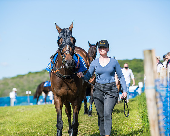 Race 5 - The Restricted  (4 of 111)